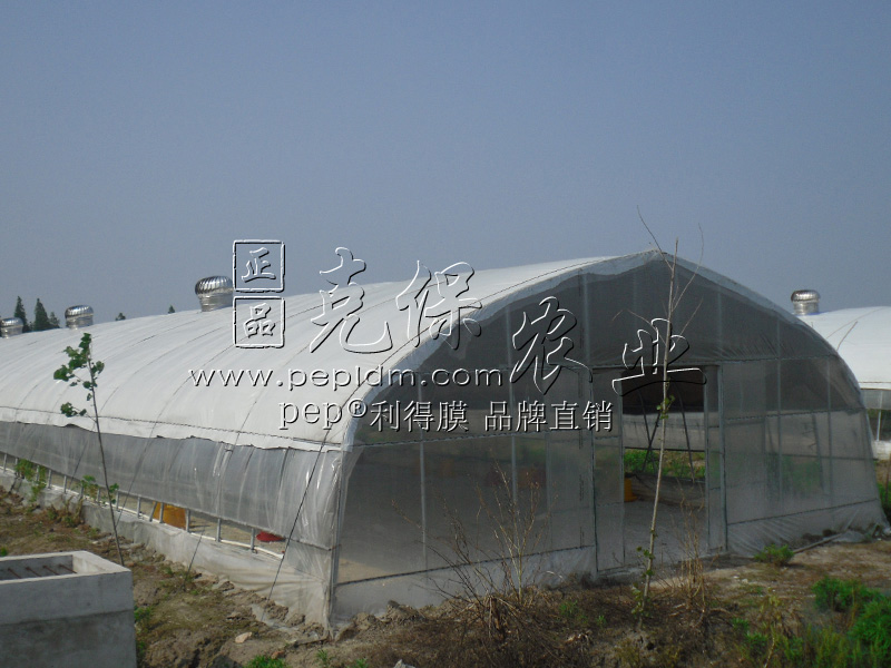 Jiangsu Taizhou breeding plant