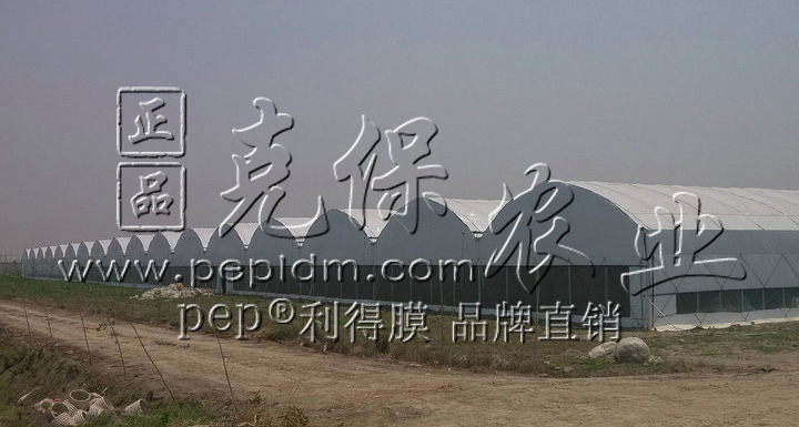 上海崇明大型食用菌工厂化基地