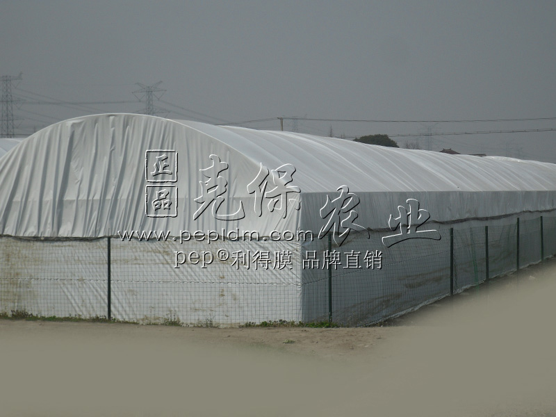重庆三峡食用菌基地