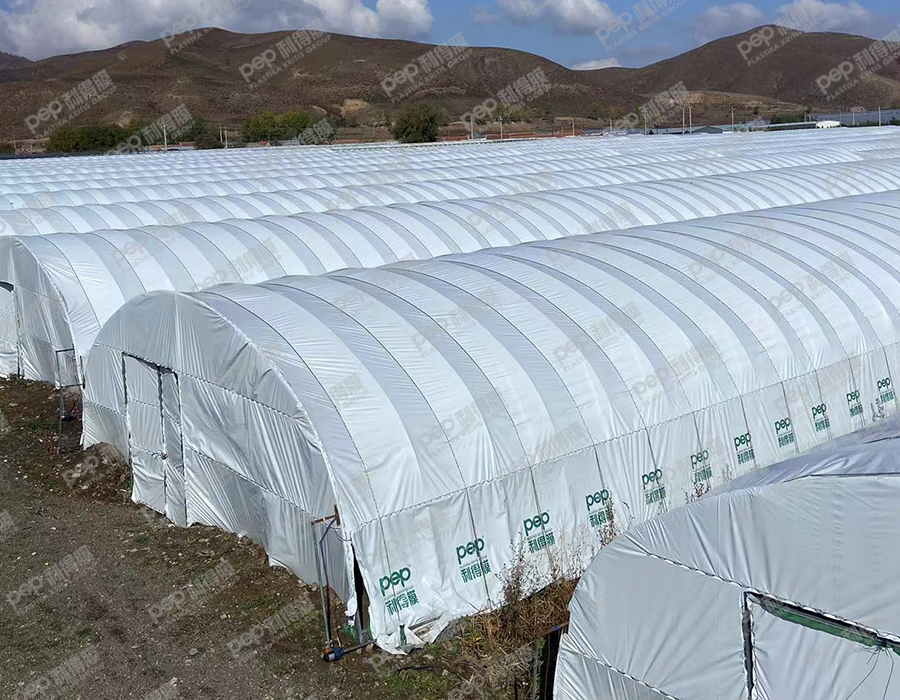 裕丰食用菌专业合作社 裕丰食用菌专业合作社