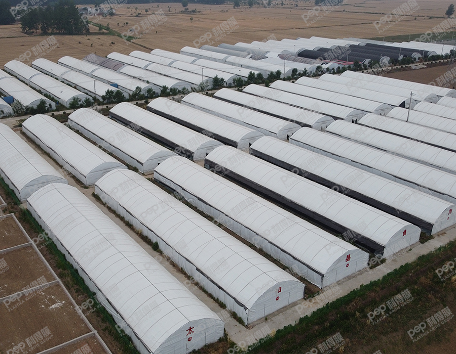 亿昌食用菌发展中心 亿昌食用菌发展中心