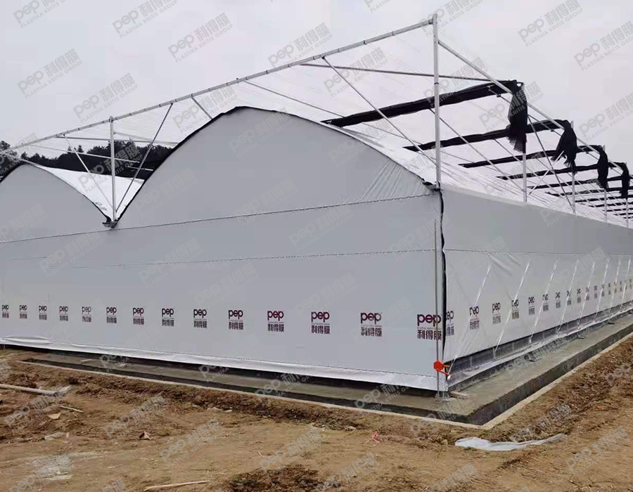 天津绿洲庄园农业技术发展有限公司