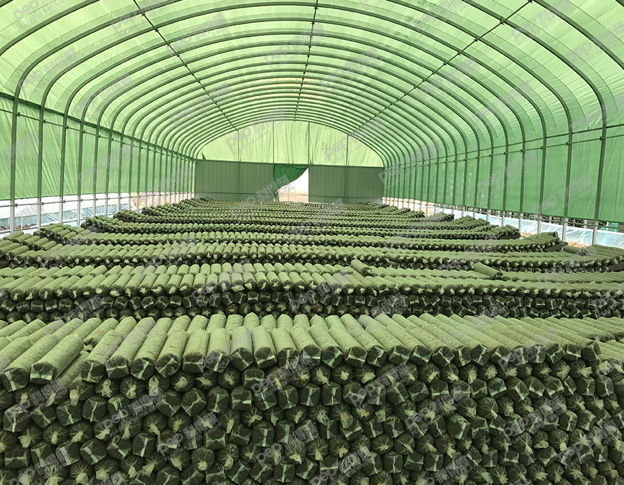 日出东方净化工程（古田）有限公司