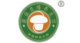 上海荣善香菇园