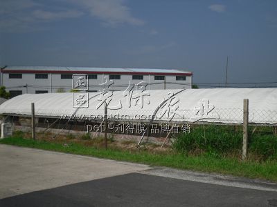 Broiler Breeding Shelter in Chongming County