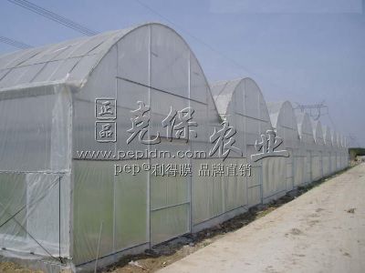 Tianjin Golden Harvest planting base