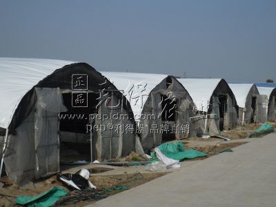 Zhejiang Jinhua edible fungus base