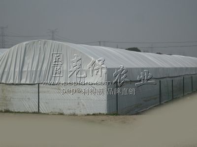 重庆三峡食用菌基地