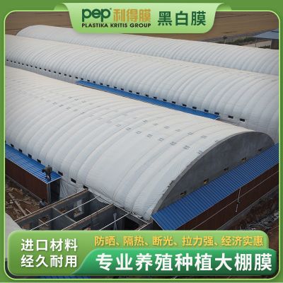 反光黑白膜