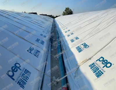 浙江绿满都菌业有限公司