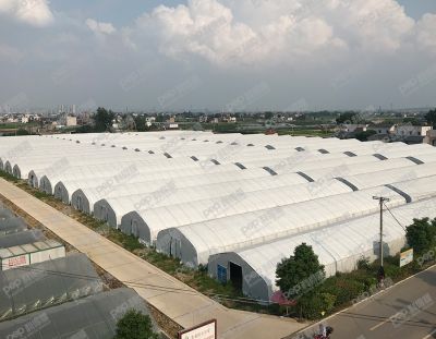 徐州亿莱生态农业发展有限公司