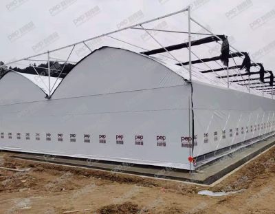 天津绿洲庄园农业技术发展有限公司