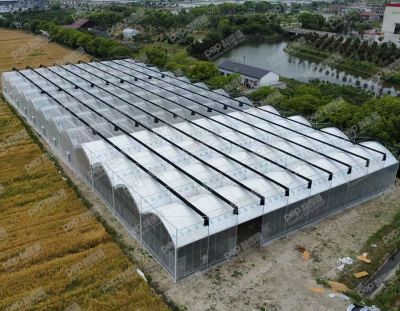 上海荣善香菇园