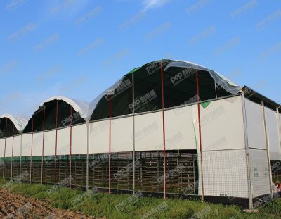 山东福禾菌业科技有限公司