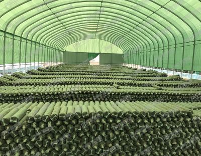 日出东方净化工程（古田）有限公司